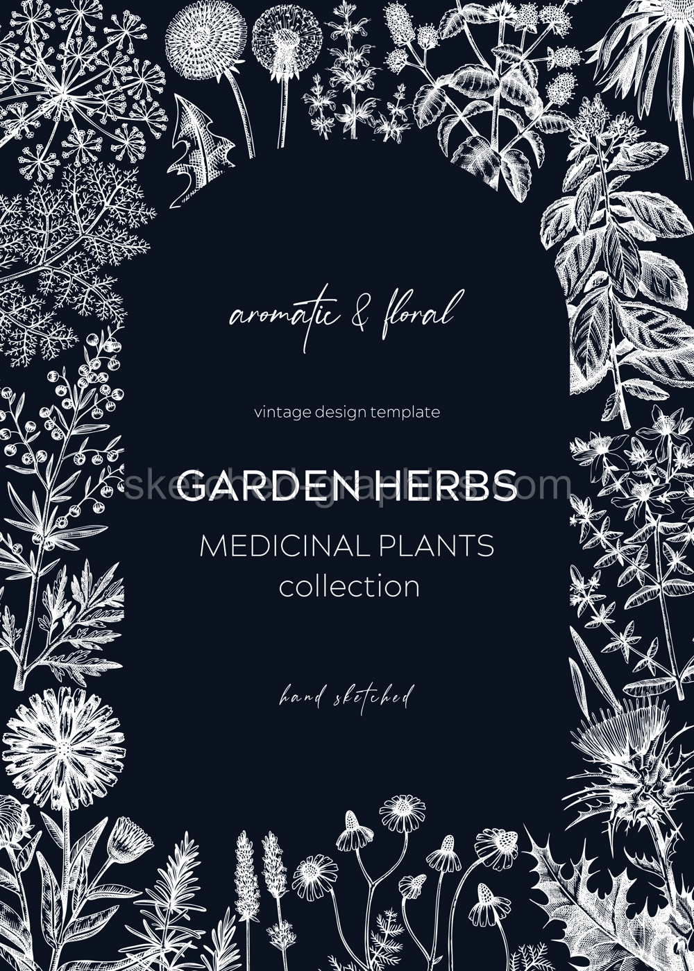 Vintage herbs card design on chalkboard. Aromatic plants frame. Herbal tea ingredients. Botanical design with hand drawn medicinal herbs for cosmetics or herbal medicine Illustration